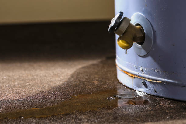 Best Flood damage cleanup  in Buffalo Grove, IL