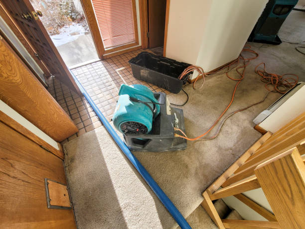 Best Flood restoration services  in Buffalo Grove, IL