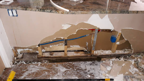 Best Carpet water damage restoration  in Buffalo Grove, IL