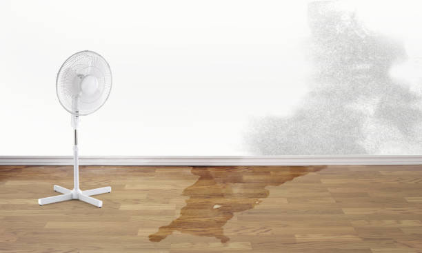 Best Basement water damage restoration  in Buffalo Grove, IL