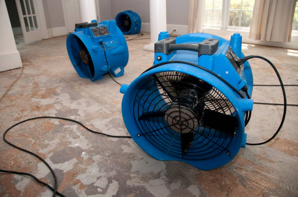 Best Professional water damage repair  in Buffalo Grove, IL