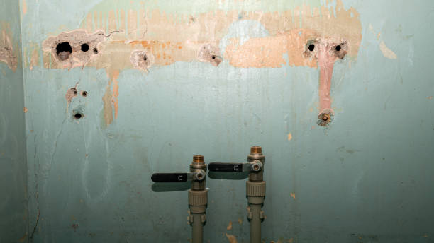 Best Water damage restoration near me  in Buffalo Grove, IL