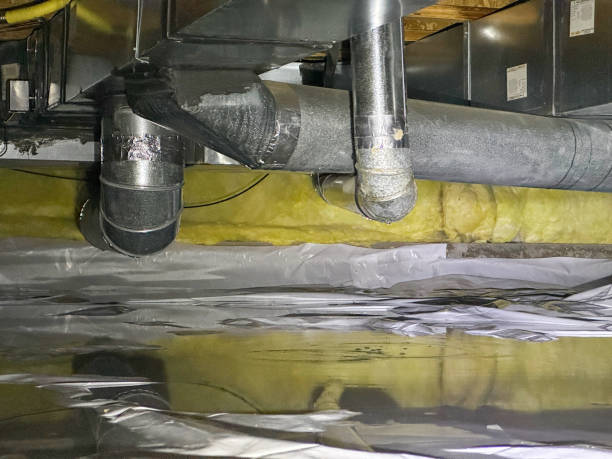 Best Local water damage restoration  in Buffalo Grove, IL