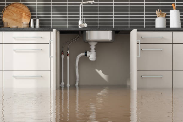  Buffalo Grove, IL Water damage restoration Pros