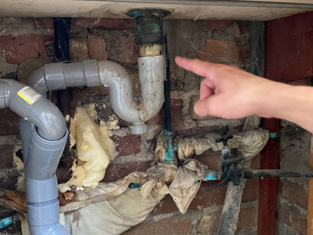 Best Water damage restoration near me  in Buffalo Grove, IL