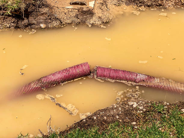 Professional Water damage restoration in Buffalo Grove, IL