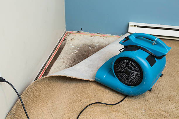 Best 24/7 water damage repair  in Buffalo Grove, IL